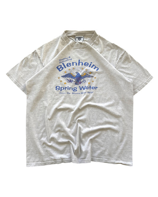 Vintage Spring Water Tee - XL