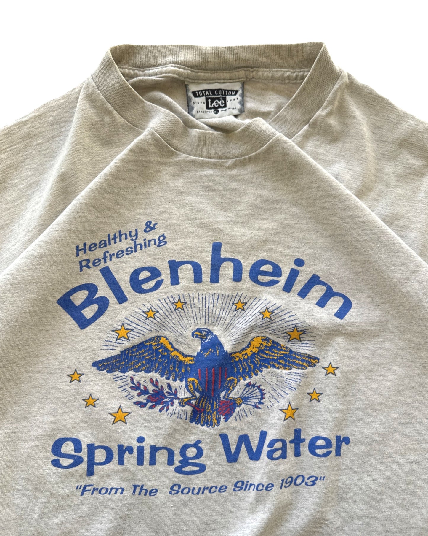 Vintage Spring Water Tee - XL